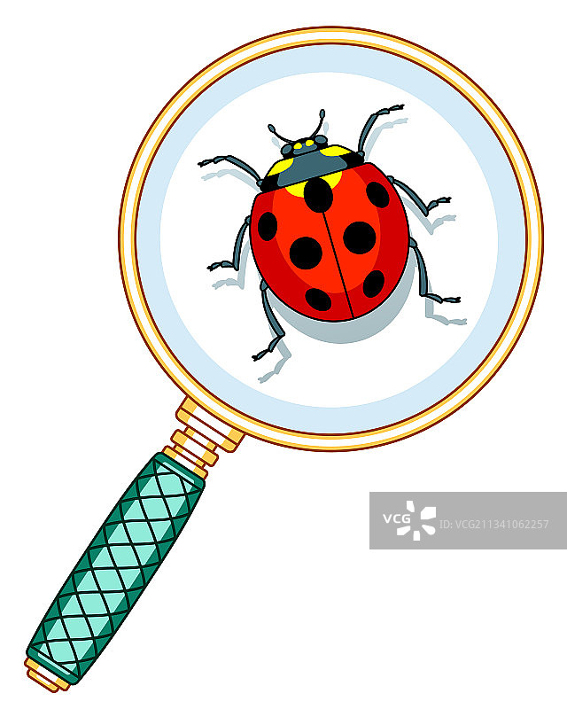 放大镜和瓢虫图片素材