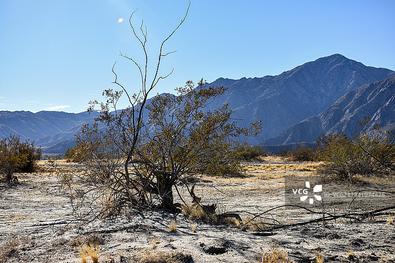 美国安扎博雷戈州立公园的群山与晴朗天空美景图片素材