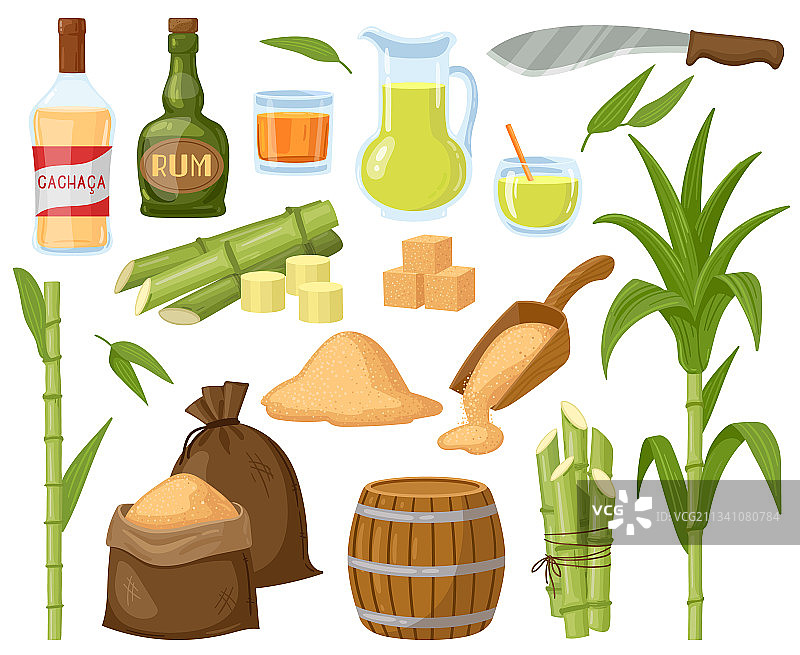 卡通甘蔗叶植物图片素材