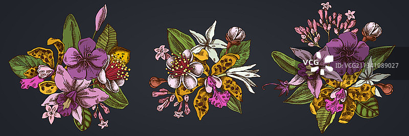 石斛番石榴花束图片素材