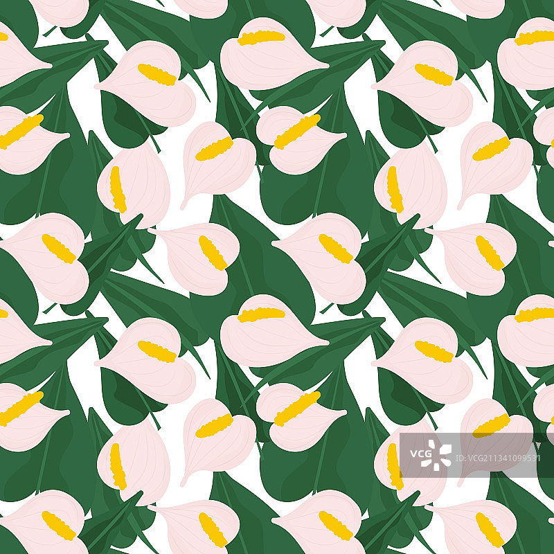 粉色花卉植物无缝图案图片素材