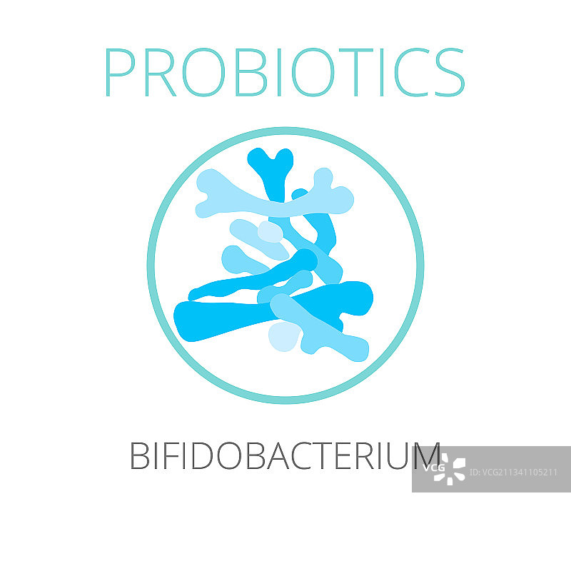 益生菌双歧杆菌图片素材