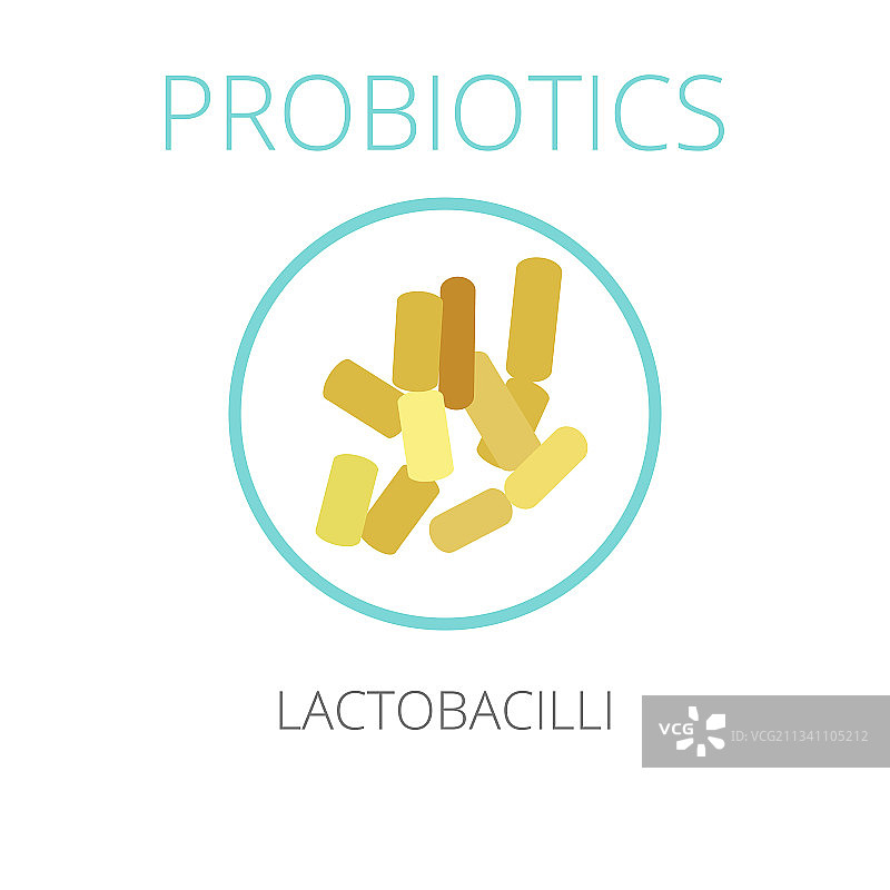 益生菌乳酸杆菌图片素材