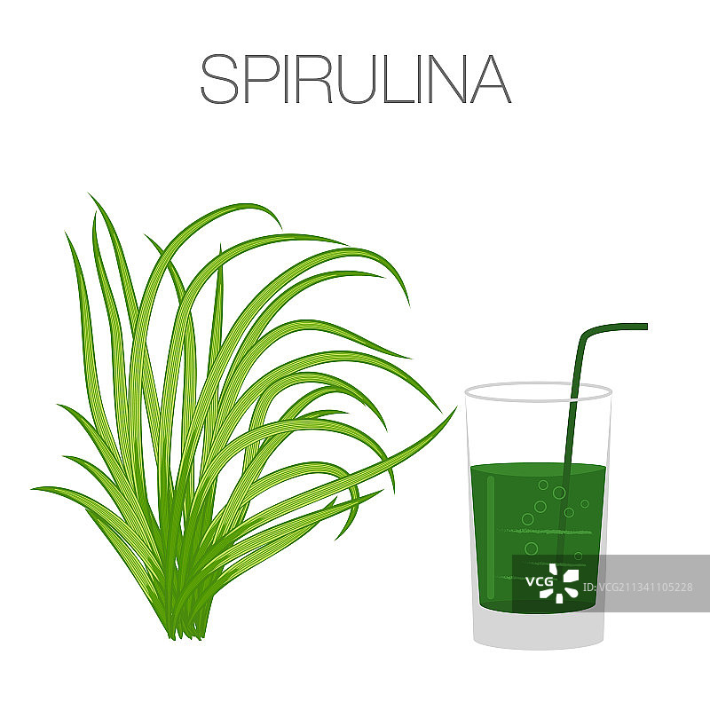 白色背景上的螺旋藻图片素材