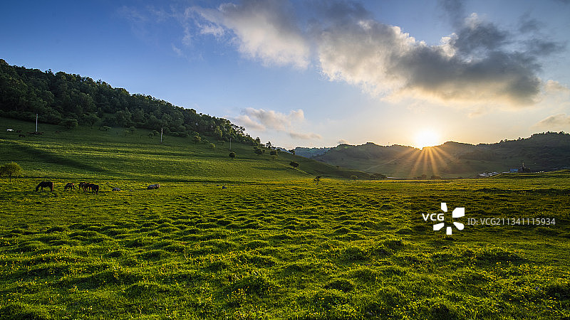 宝鸡关山草原图片素材