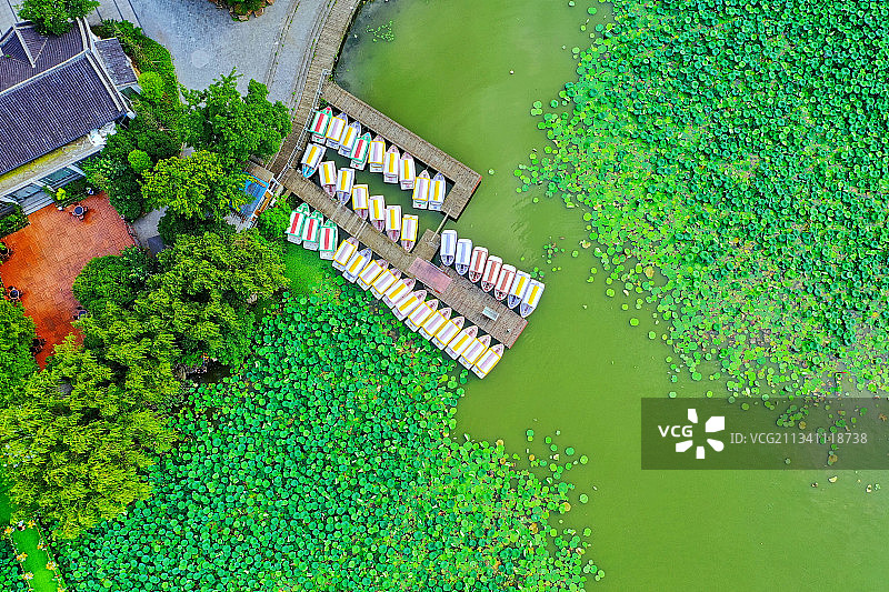 荷塘游艇码头图片素材