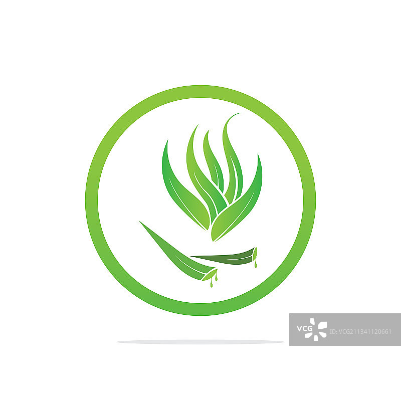 芦荟标志设计模板图片素材