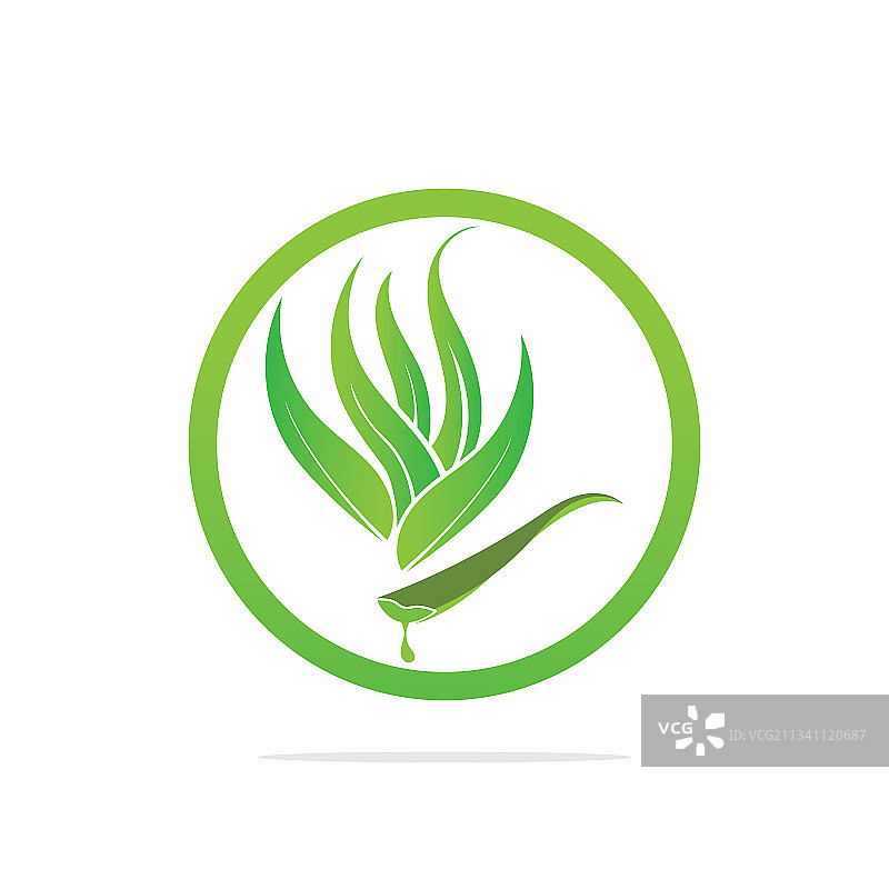 芦荟标志设计模板图片素材