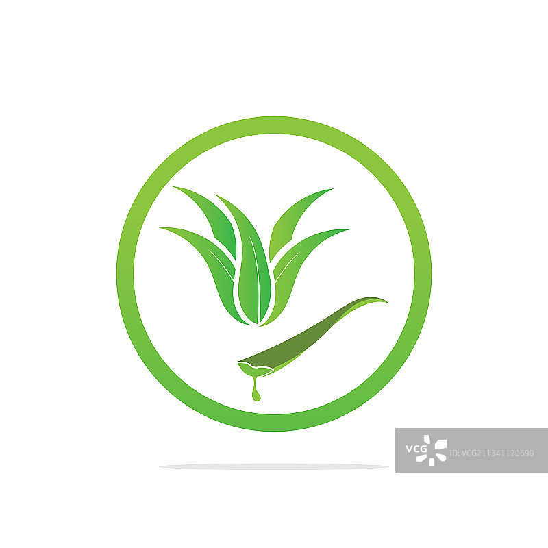 芦荟标志设计模板图片素材