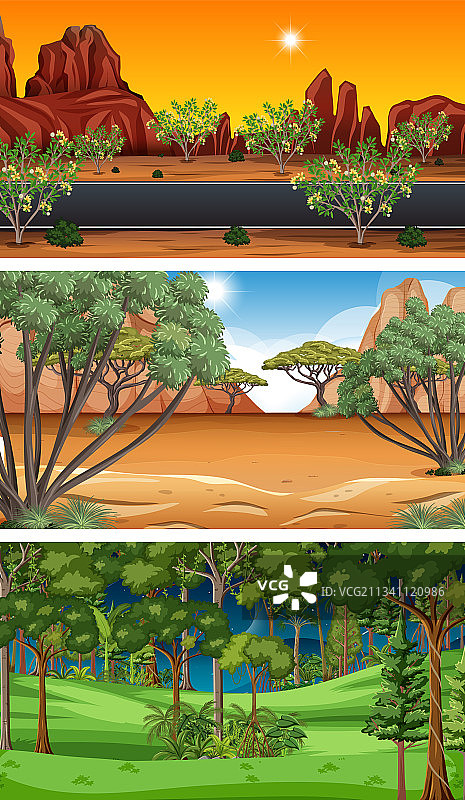 不同类型的森林横向场景图片素材