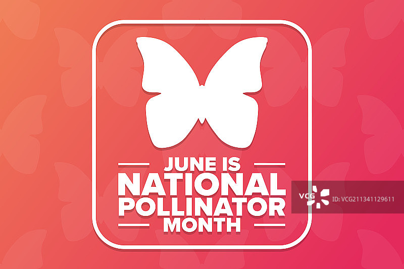 六月是国家授粉媒介月图片素材
