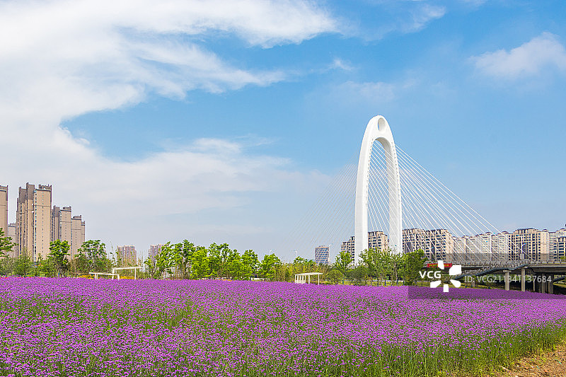 南京六合雄州大桥图片素材