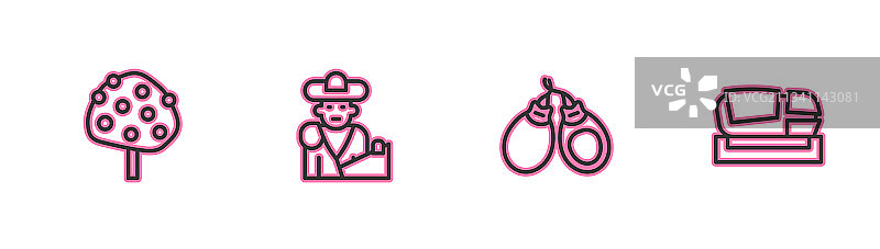 桔子树、响板与斗牛图片素材