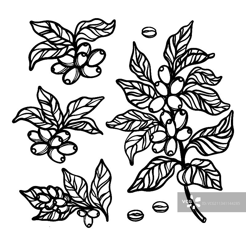 咖啡轮廓集剪贴画图片素材