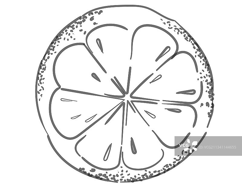 橙子轮廓剪影图片素材