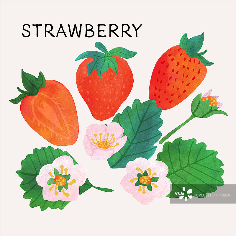 水彩纹理草莓素材图片素材