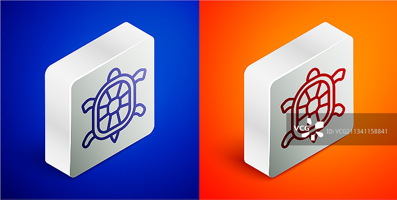 2.5D线条蓝色背景海龟图标图片素材