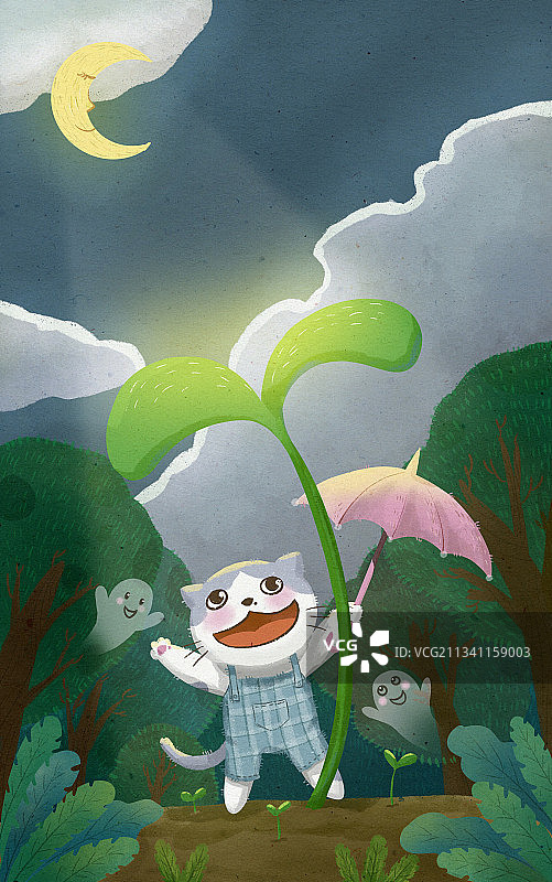 夜晚森林里庆祝的小猫咪图片素材