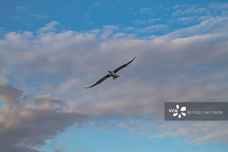 土耳其多云天空下的飞机低角度视图图片素材