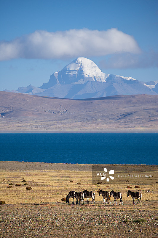 神山冈仁波齐图片素材