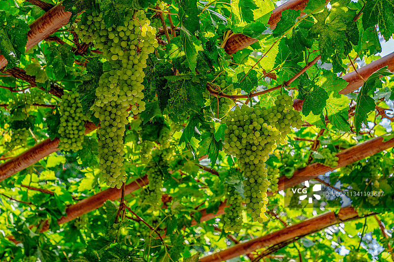 新疆维吾尔自治区图片素材