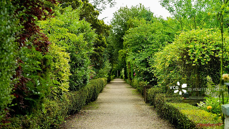 阿姆斯特丹公园中植物间的空人行道图片素材