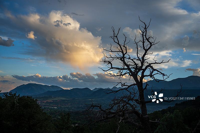 马尼图斯普林斯日落时天空下的光秃秃的树的轮廓图片素材