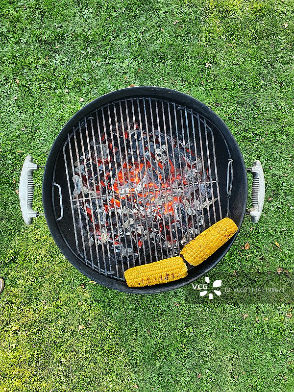 烧烤架上的烹饪锅（高角度拍摄），瑞典图片素材