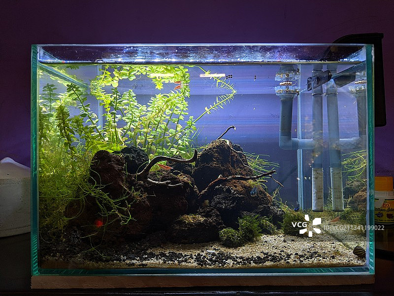 窗边植物特写图片素材