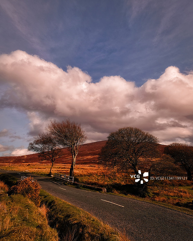 爱尔兰威克洛山脉日落树木图片素材