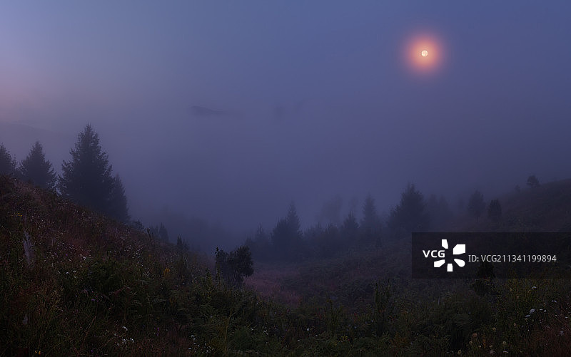 乌克兰雷布尼克夜景图片素材