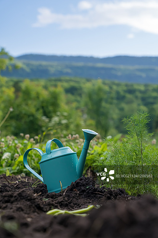 田野上的浇水壶特写图片素材