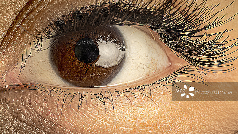 阿拉伯联合酋长国人眼特写图片素材