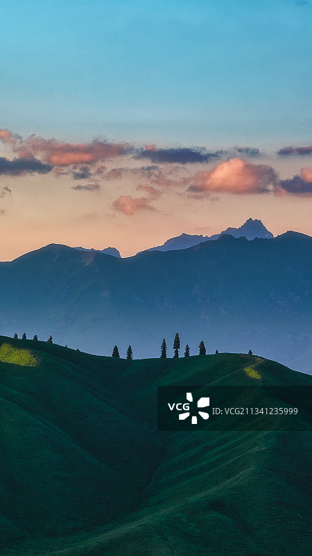 伊犁草原图片素材