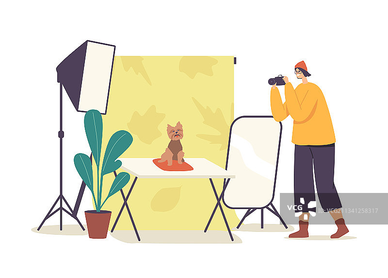 摄影师角色拍摄纯种马图片素材