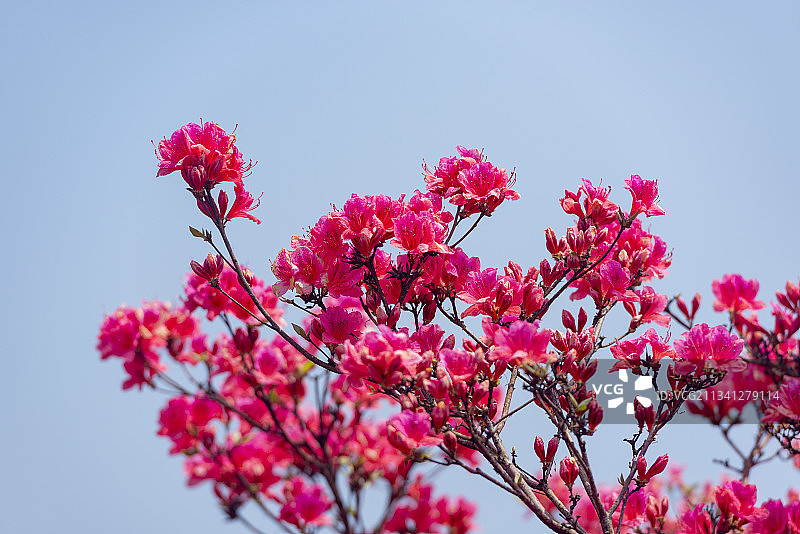 2013-04-26中国，湖北省，黄冈市，麻城市，龟峰山风景图片素材