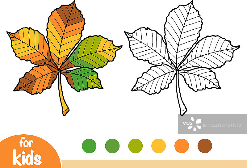 马栗树叶填色书图片素材