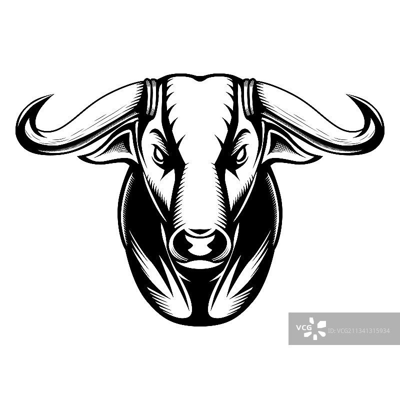 牛头正面图图片素材