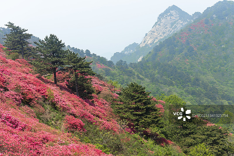 2013-04-26中国，湖北省，黄冈市，麻城市，龟峰山风景图片素材