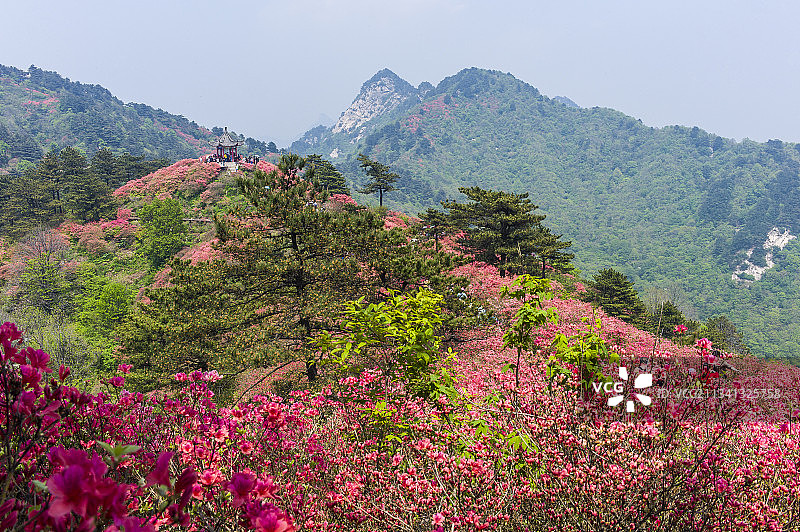 2013-04-26中国，湖北省，黄冈市，麻城市，龟峰山风景图片素材