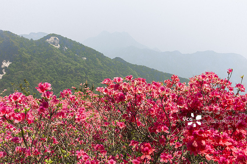 2013-04-26中国，湖北省，黄冈市，麻城市，龟峰山风景图片素材