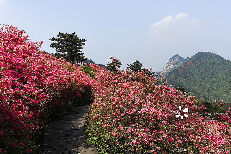 2013-04-26中国，湖北省，黄冈市，麻城市，龟峰山风景图片素材