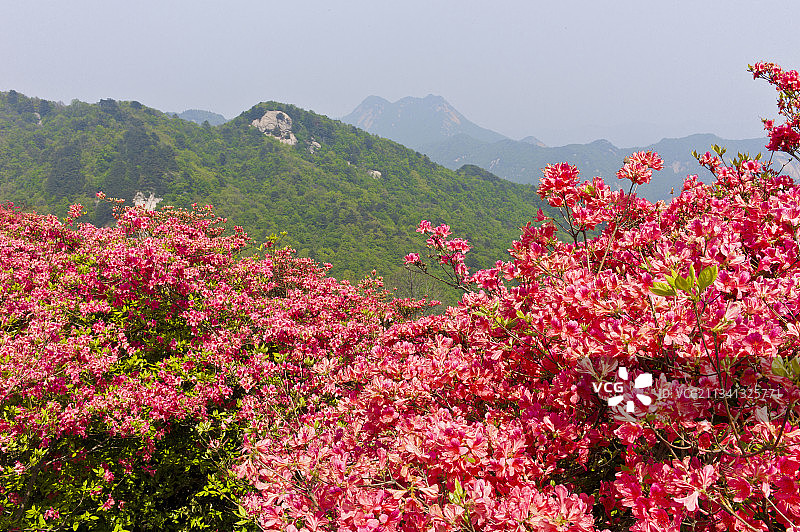 2013-04-26中国，湖北省，黄冈市，麻城市，龟峰山风景图片素材