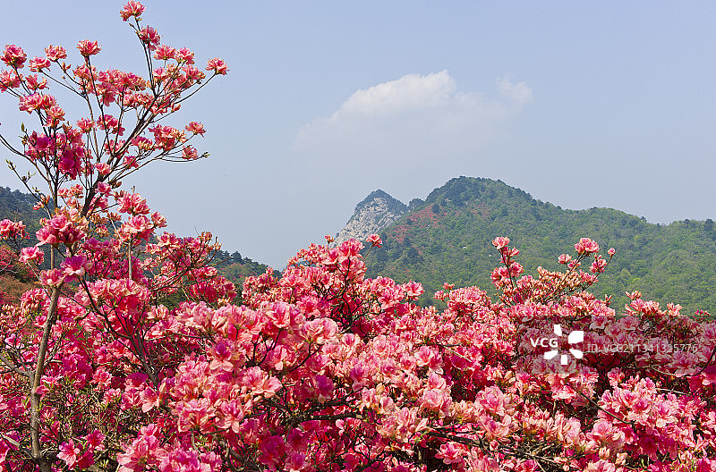 2013-04-26中国，湖北省，黄冈市，麻城市，龟峰山风景图片素材