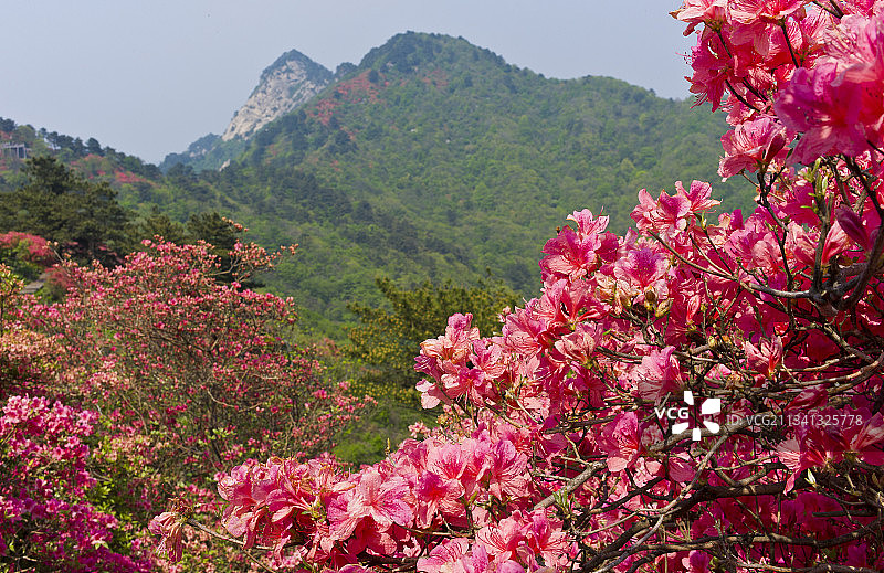 2013-04-26中国，湖北省，黄冈市，麻城市，龟峰山风景图片素材