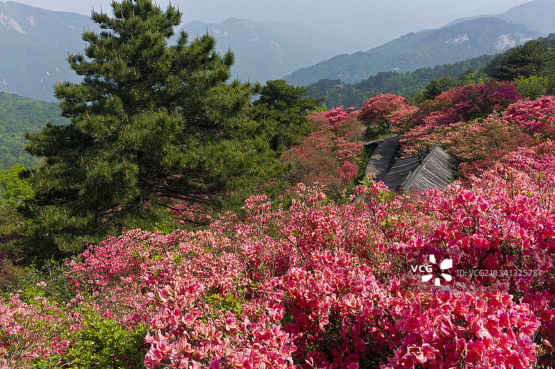 2013-04-26中国，湖北省，黄冈市，麻城市，龟峰山风景图片素材