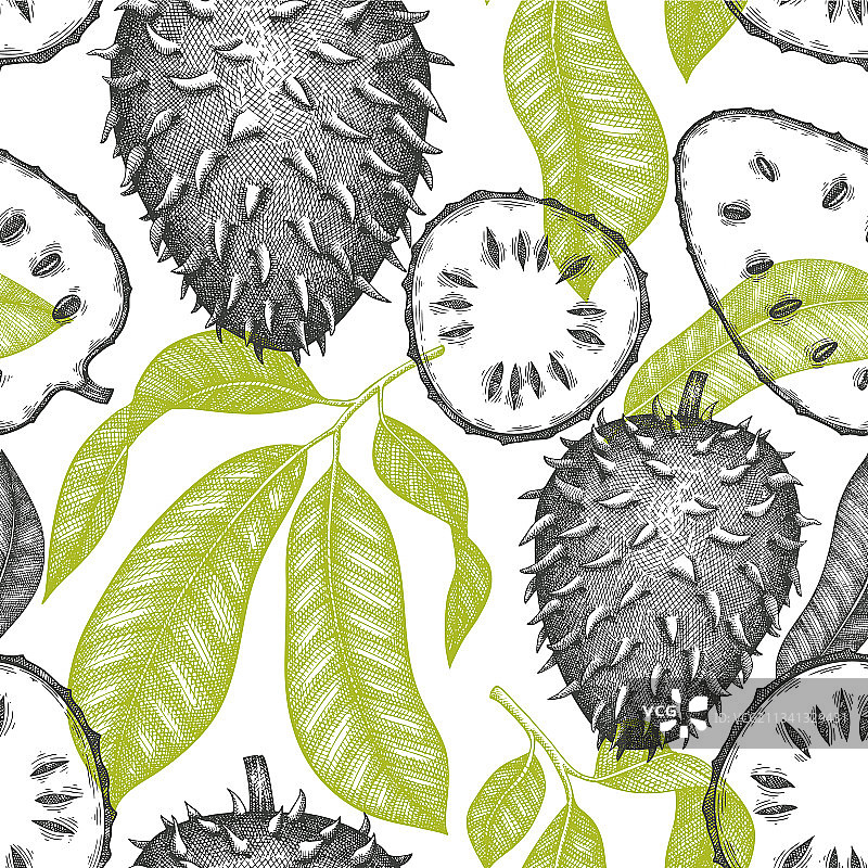 红毛榴莲水果无缝手绘草图图片素材