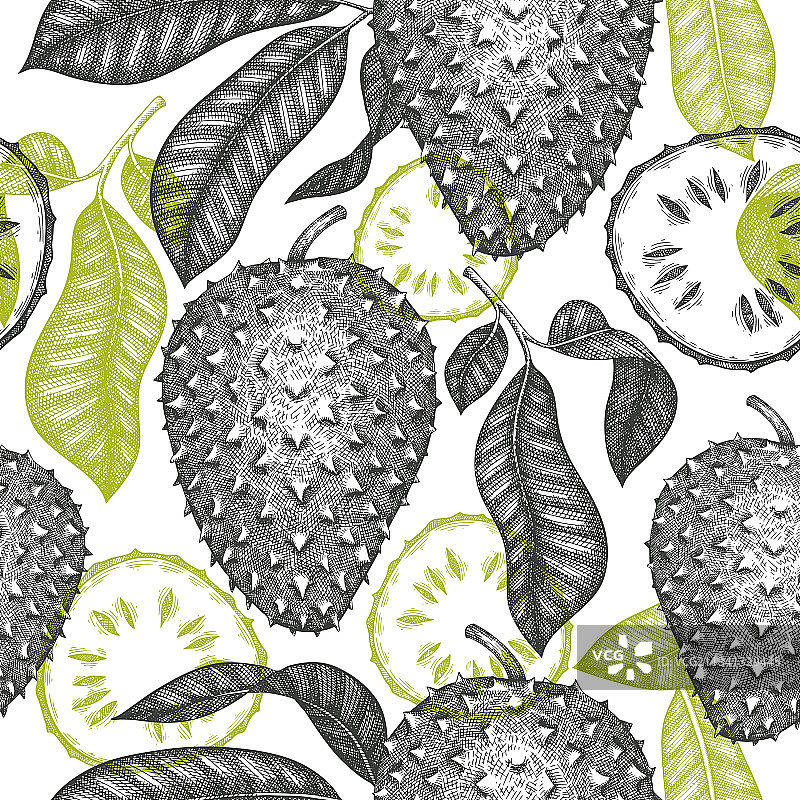 红毛榴莲水果无缝手绘草图图片素材