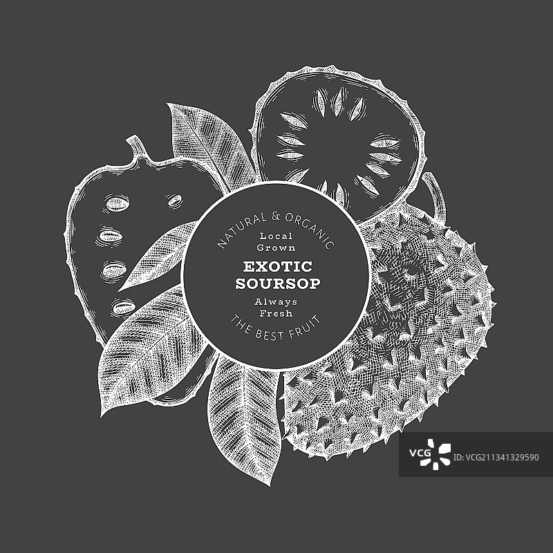 手绘素描风格的soursop水果横幅图片素材