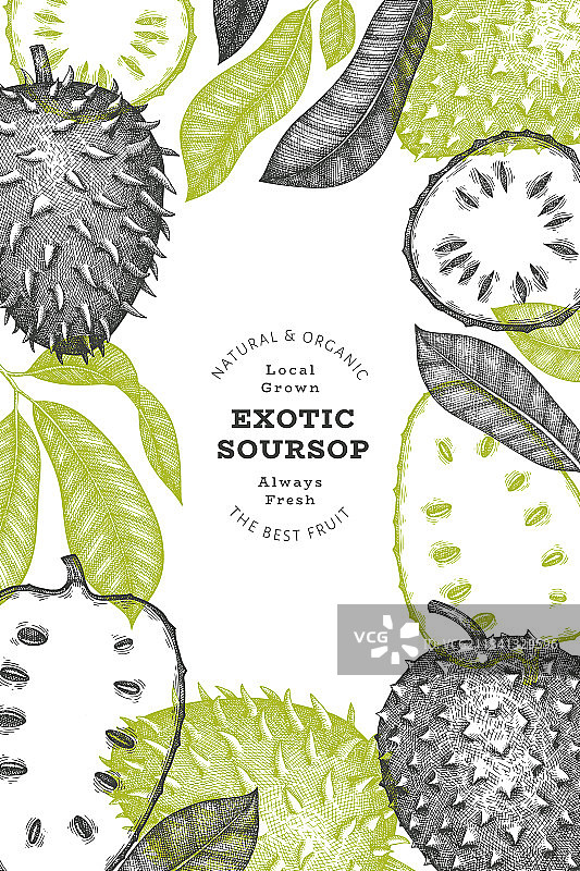 手绘素描风格的soursop水果横幅图片素材